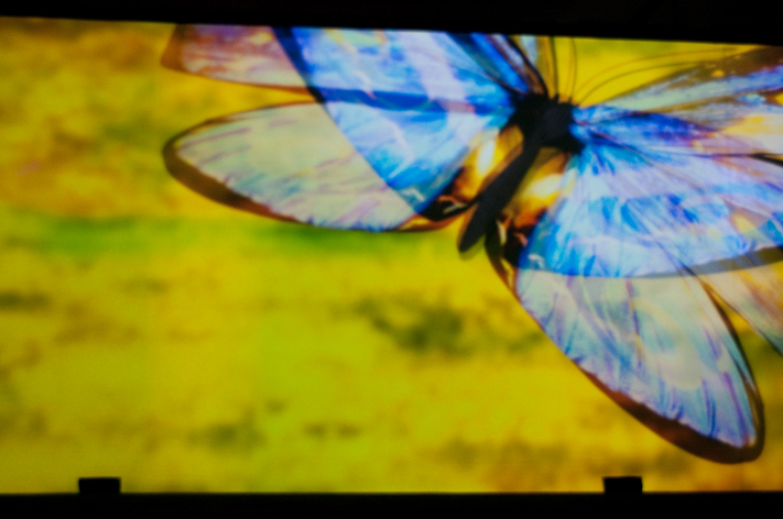 Right Click (pc) or Click & Hold (Mac) to save image to your computer